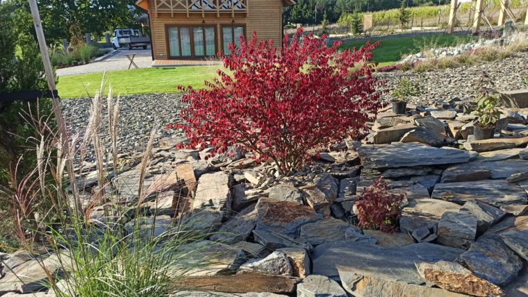 Pielęgnacja Ogrodów