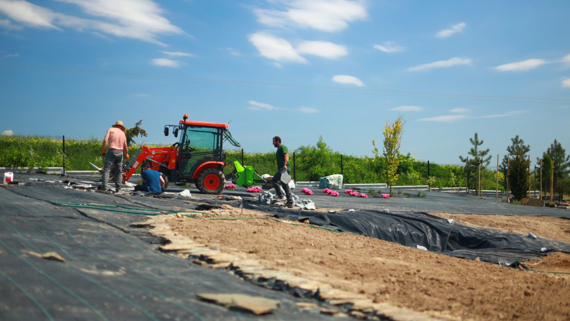 Zakładanie Ogrodów