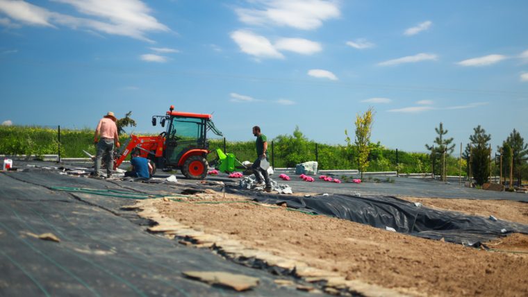 Zakładanie Ogrodów